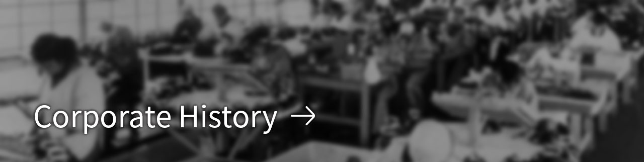 Corporate History