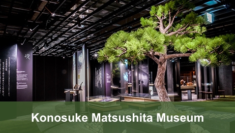 Pine tree in the exhibition room of the Konosuke Matsushita Museum