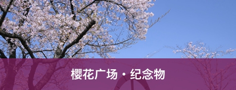 樱花广场纪念物的照片