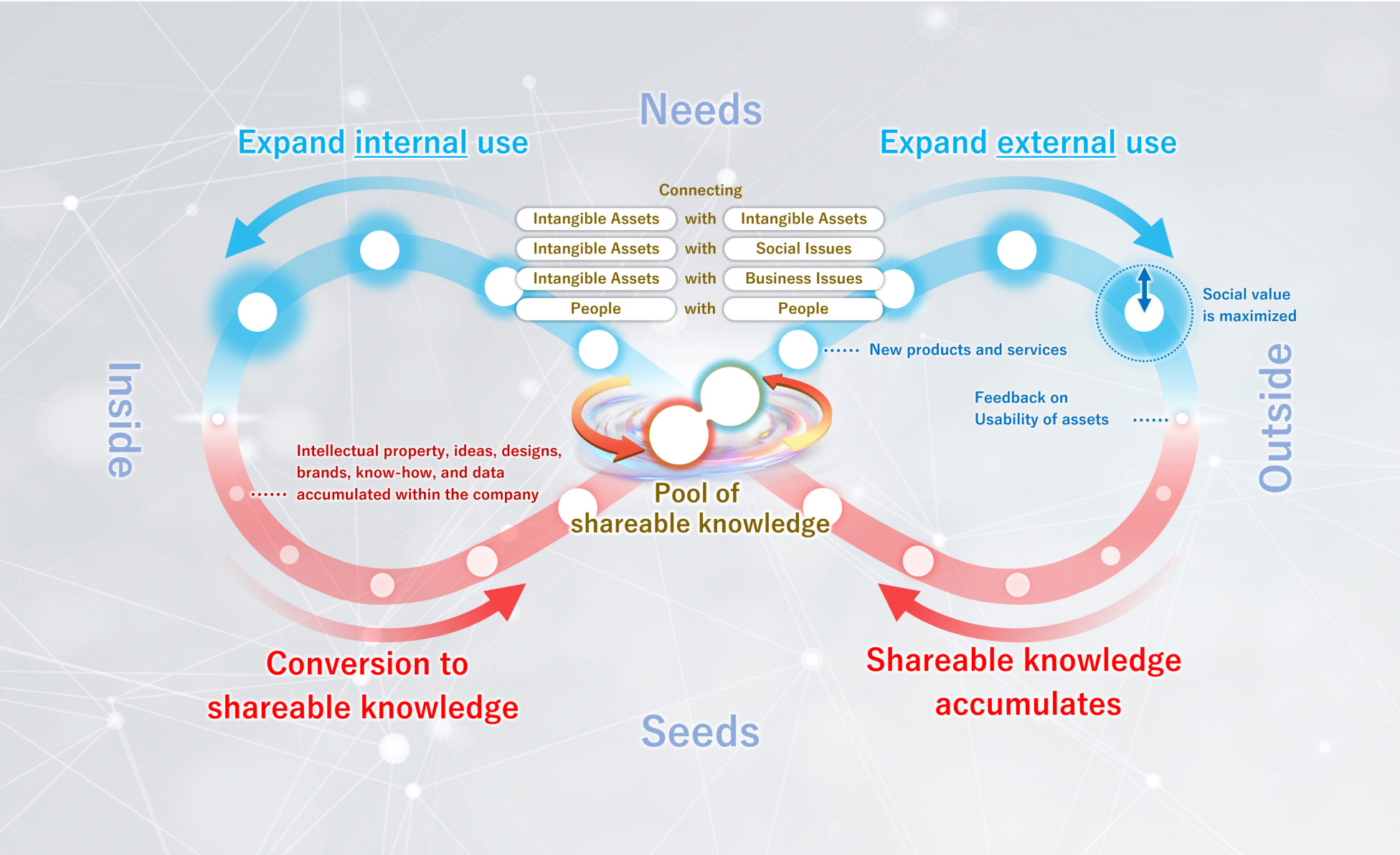 Conceptual Diagram of IP Innovation Project