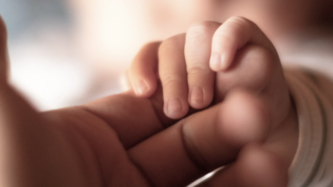 Intellectual Property