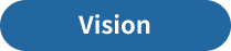 Vision