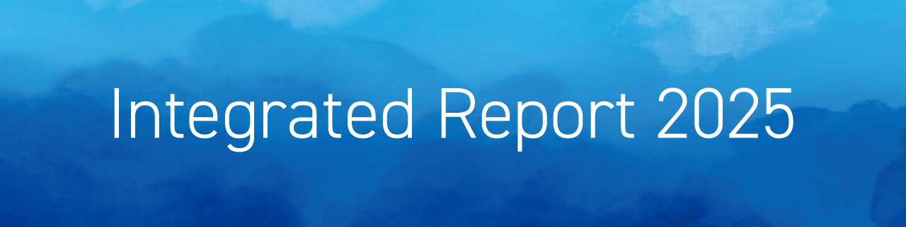 Integrated Report 2025