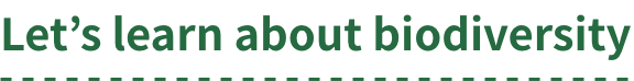 Let’s learn about biodiversity
