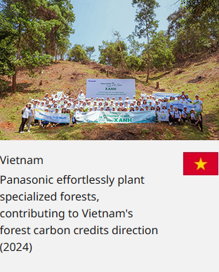 Vietnam Panasonic effortlessly plant specialized forests, contributing to Vietnam's forest carbon credits direction (2024)