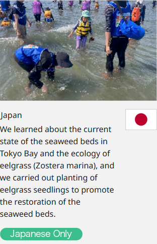 Japan We learned about the current state of the seaweed beds in Tokyo Bay and the ecology of eelgrass (Zostera marina), and we carried out planting of eelgrass seedlings to promote the restoration of the seaweed beds.  Japanese Only
