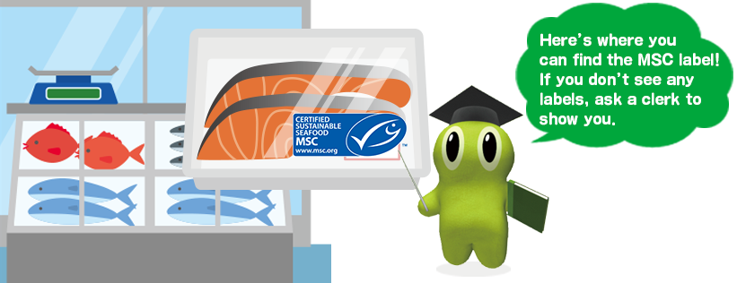 Here’s where you can find the MSC label! If you don’t see any labels, ask a clerk to show you.