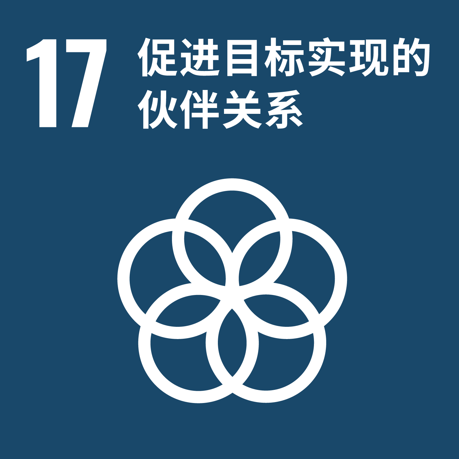 目标 17： 促进目标实现的伙伴关系