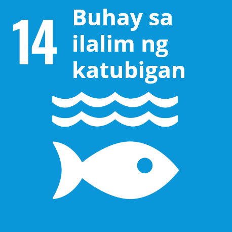 Goal 14: Buhay sa ilalim ng katubigan