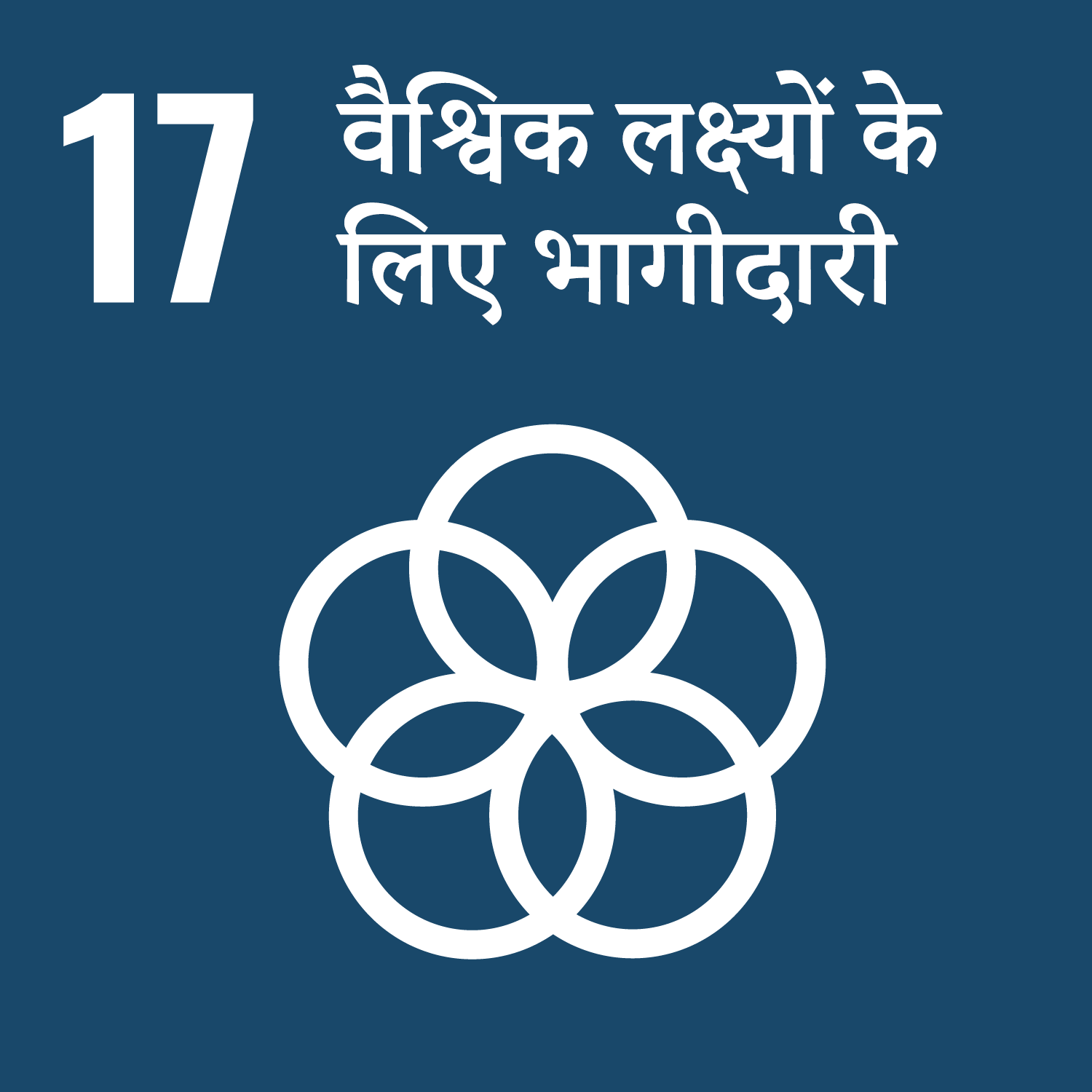 लक्ष्य 17: वैश्विक लक्ष्यों के लिए भागीदारी