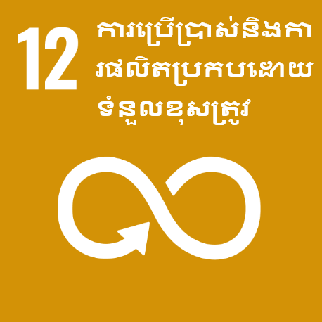 គោលដៅទី 12 ៖  ការប្រើប្រាស់និងការផលិតប្រកបដោយទំនួលខុសត្រូវ