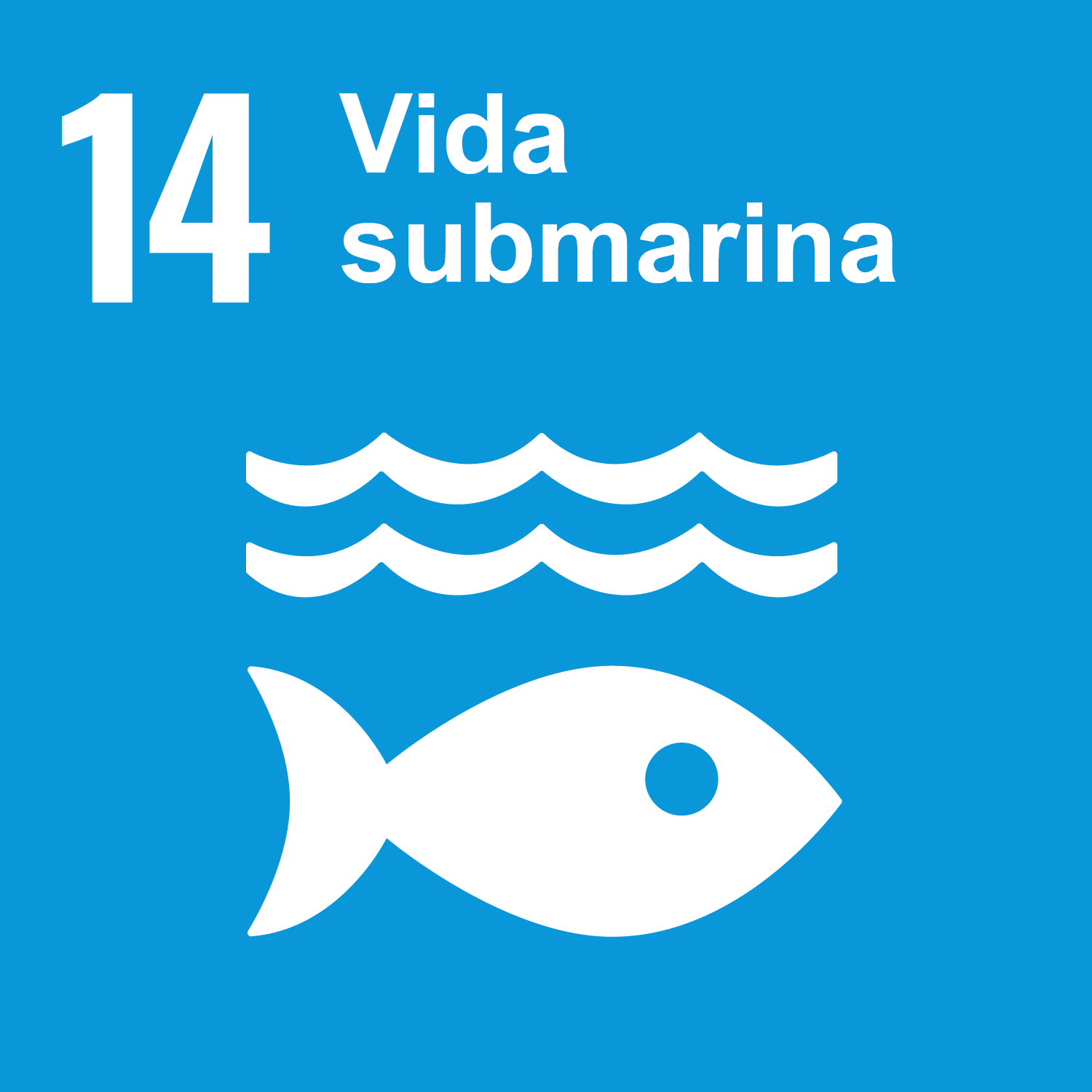 Objetivo 14: Vida submarina