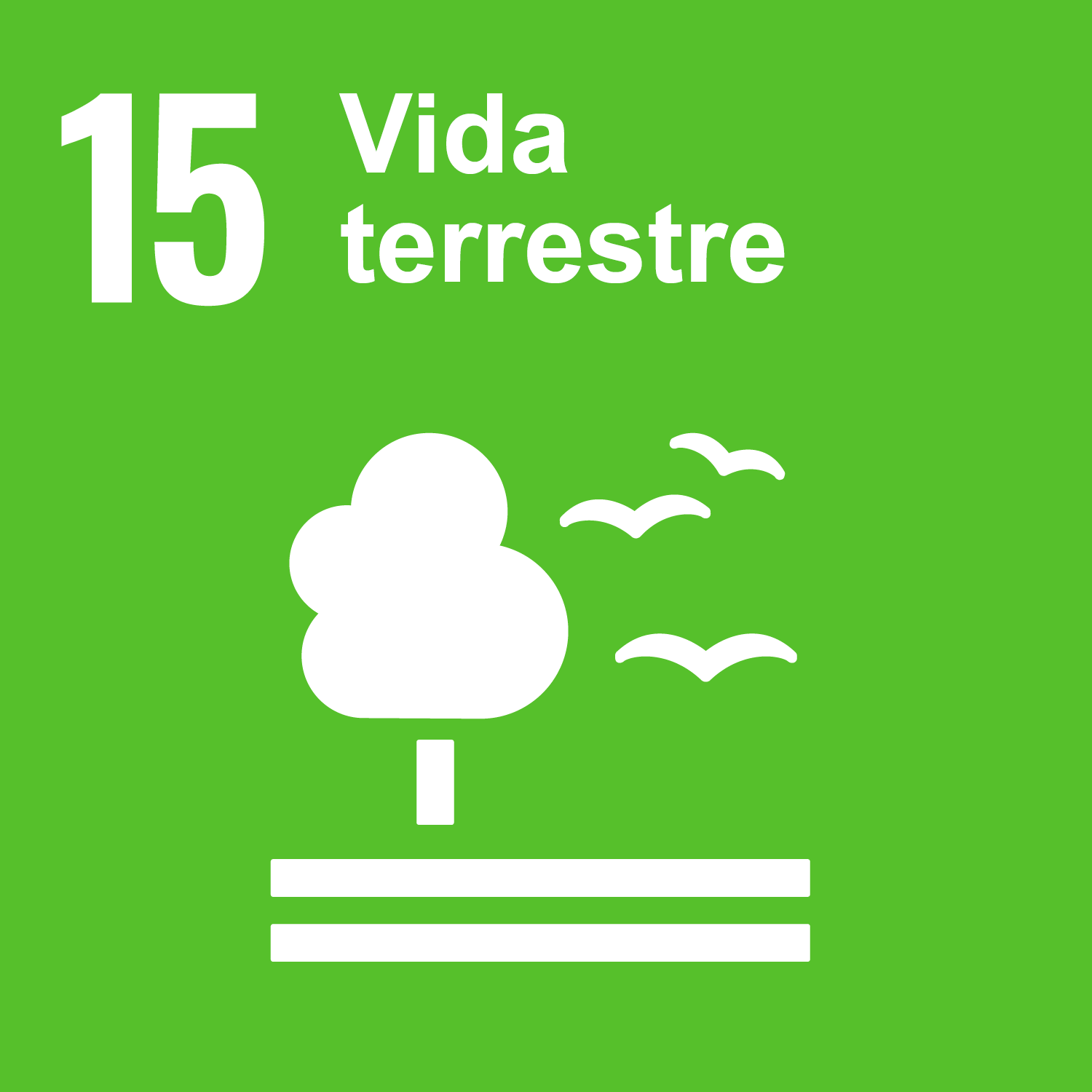 Objetivo 15: Vida terrestre