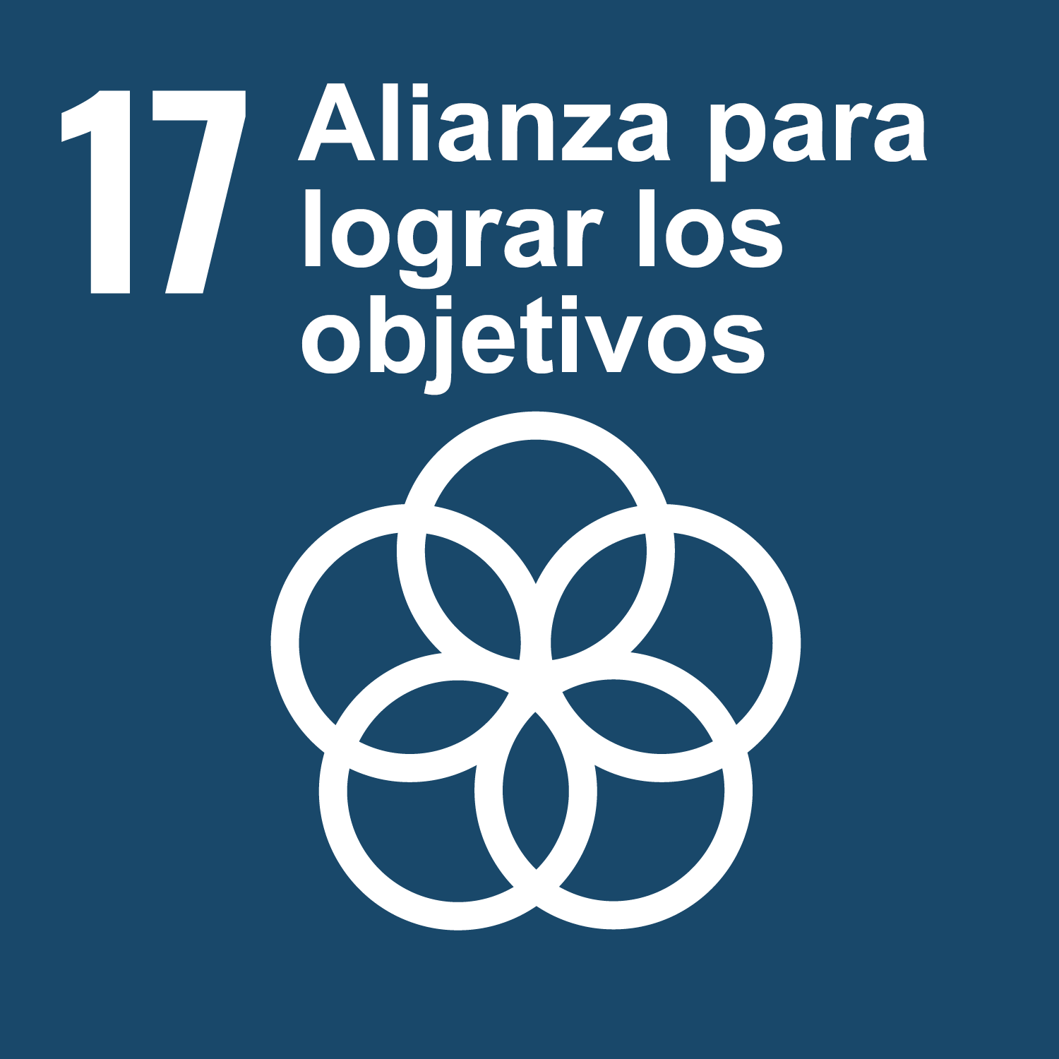 Objetivo 17: Alianza para lograr los objetivos