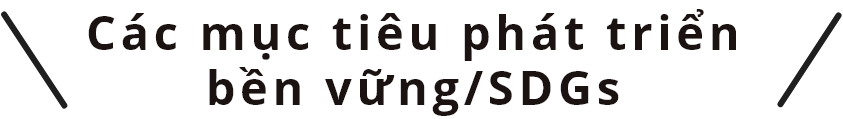 Các mục tiêu phát triển bền vững/SDGs