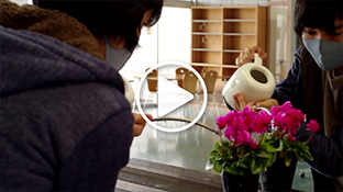 Flower Language