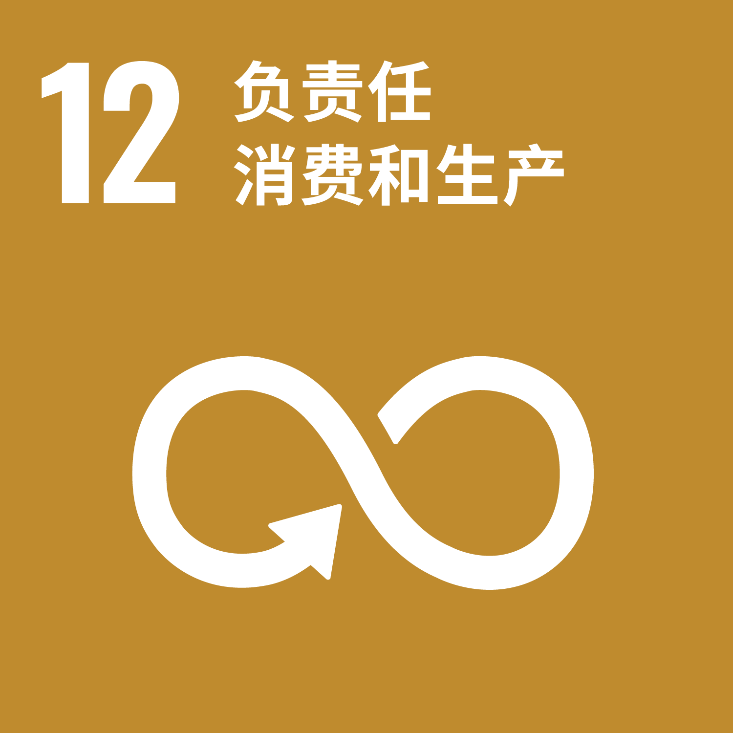 目标 12:负责任消费和生产