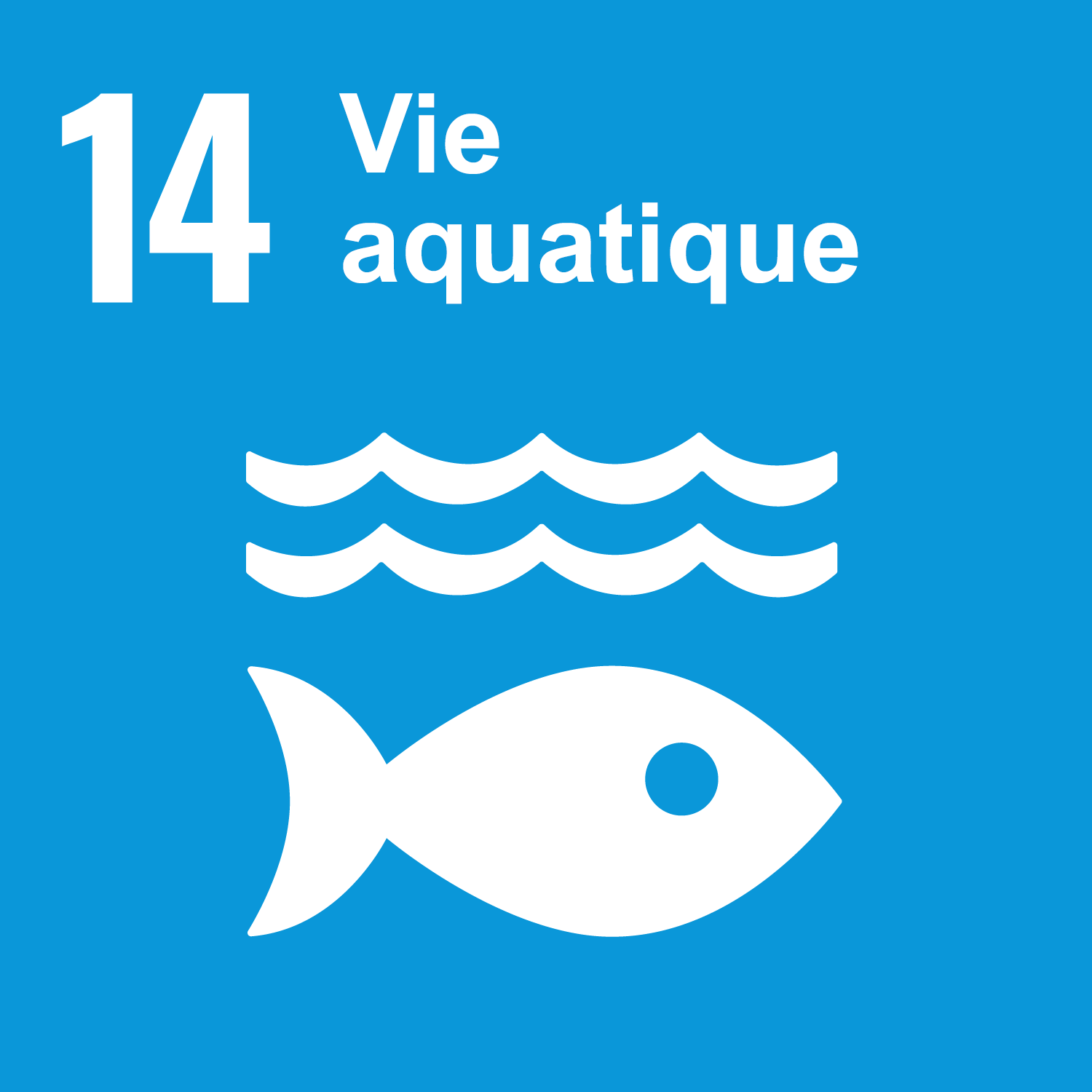 Objectif 14: Vie aquatique
