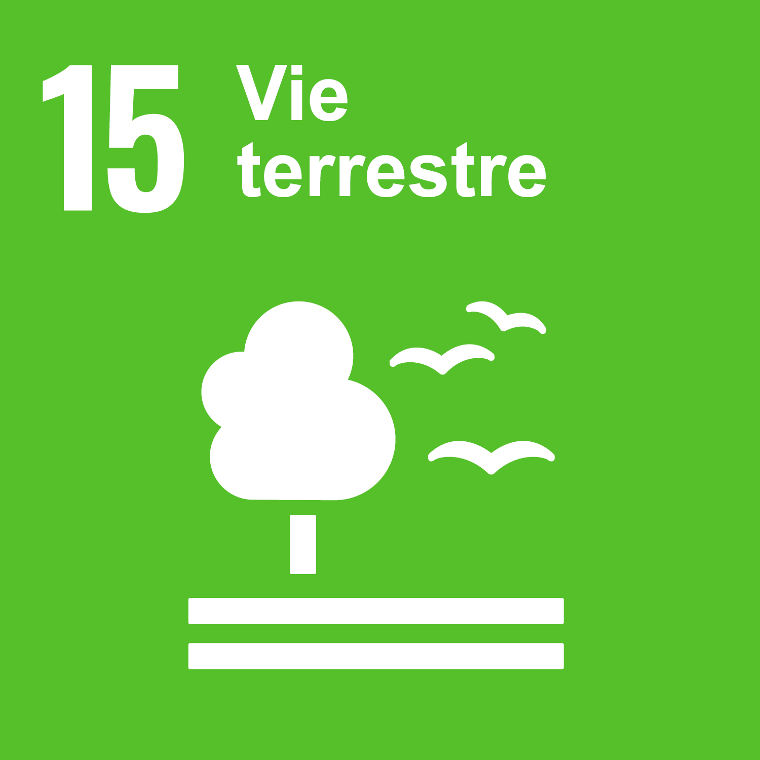 Objectif 15: Vie terrestre