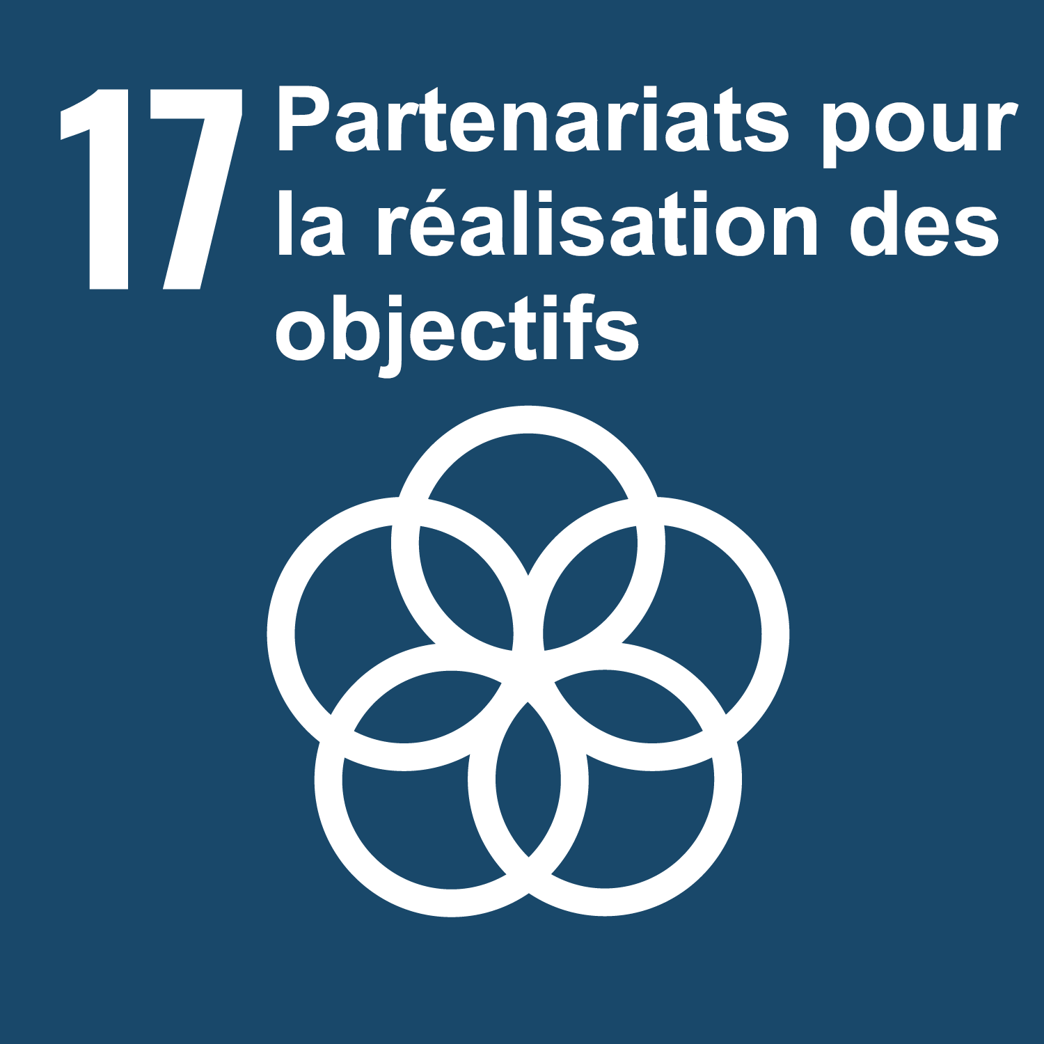 Objectif 17: Partenariats pour la réalisation des objectifs