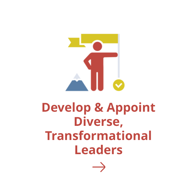 Develop & Appoint Diverse, Transformational Leaders