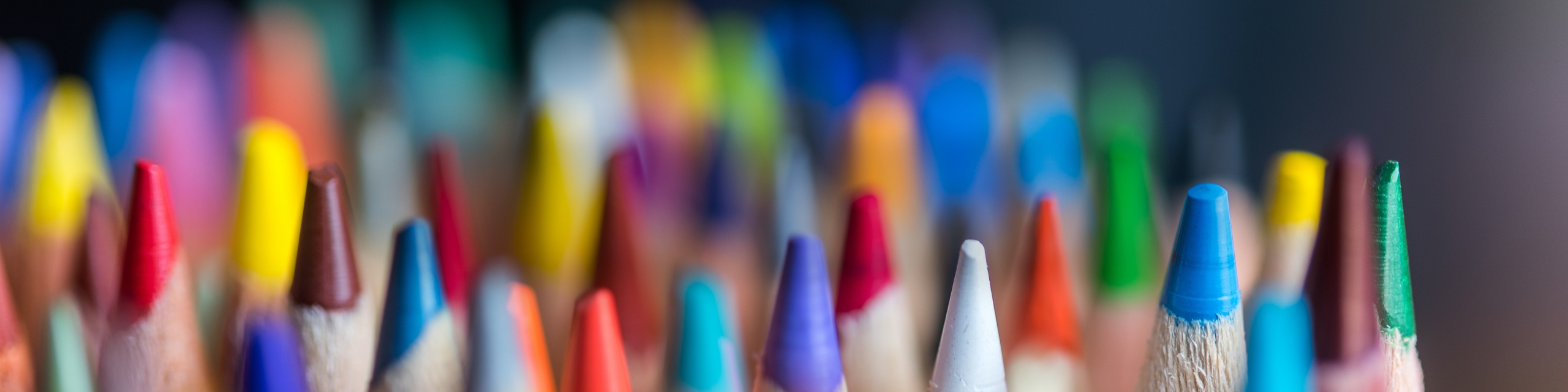 Photo：Human Capital Management Initiatives by Operating Companies