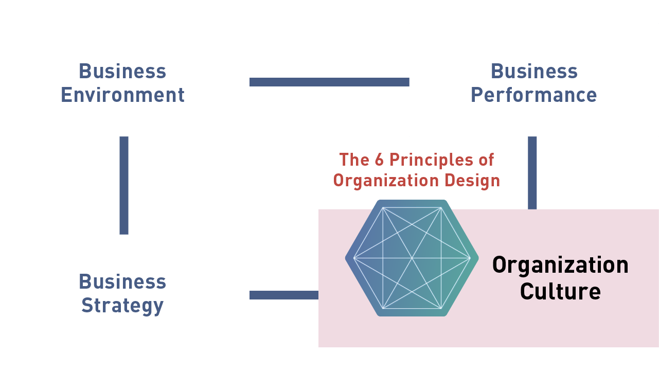 This figure shows the framework of organization design, with the influencing elements displayed in each box. Starting clockwise from "Organization Culture" at the bottom-right, the other three elements are "Business Strategy," "Business Environment," and "Business Performance."  These four elements are linked to one another with lines. The "Organization Culture" box includes a hexagon icon that indicates "the 6 Principles of Organization Design.
