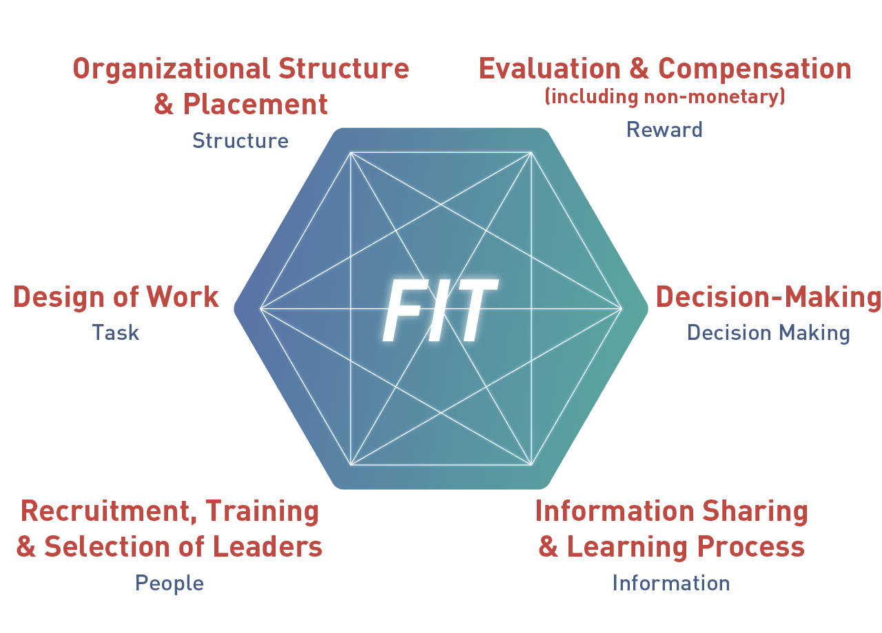 This figure shows "the 6 Principles of Organization Design" indicated as a hexagon icon.  Starting clockwise from "Evaluation & compensation," at the upper-right, the other five elements are "Decision-making," "Information sharing & learning process," and "Recruitment, training & selection of leaders," "Design of work," and "Organizational structure & placement."