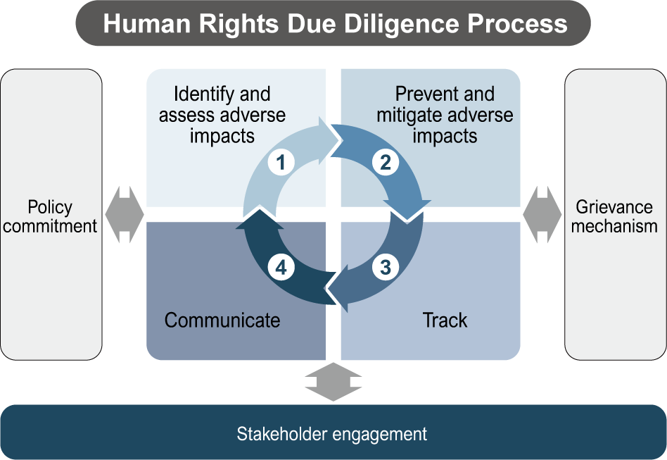 Human Rights Due Diligence Process