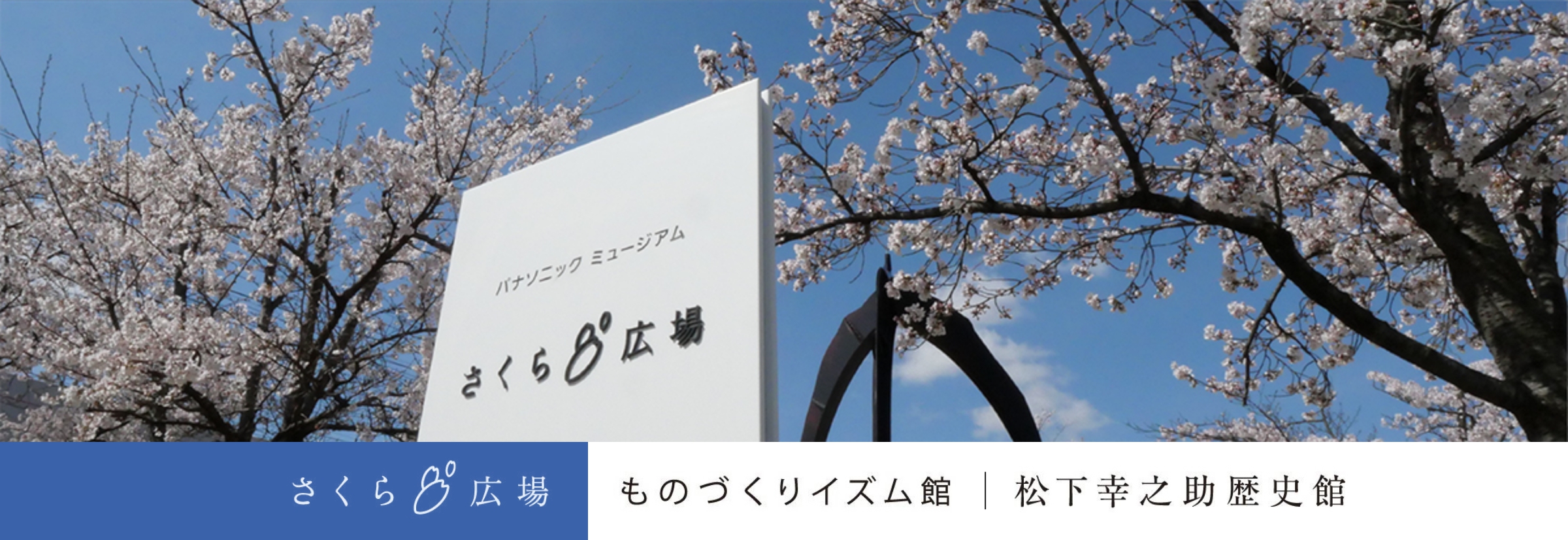 さくら広場