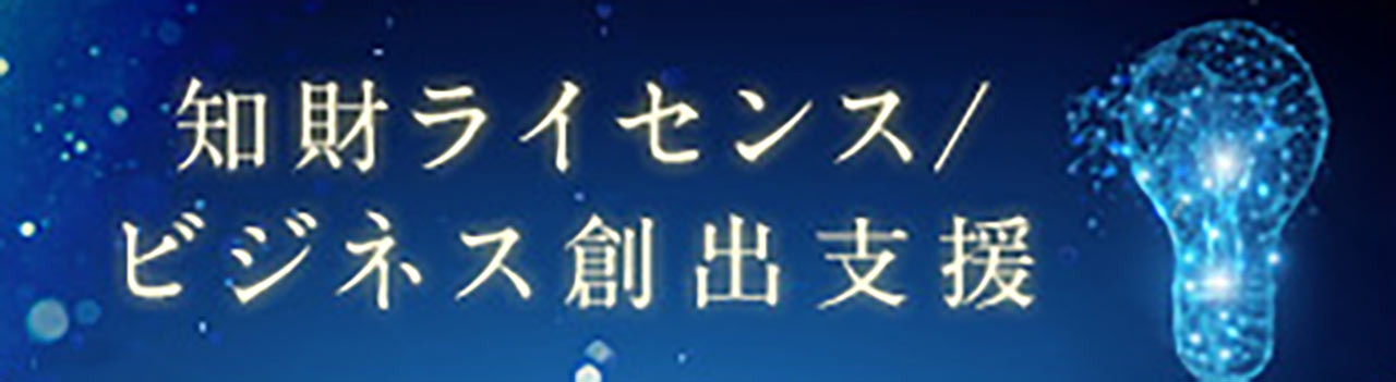 知財ライセンス/ビジネス創出支援