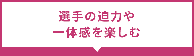 選手の迫力や一体感を楽しむ