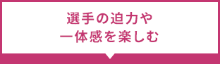 選手の迫力や一体感を楽しむ