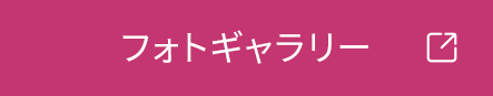 フォトギャラリー