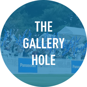 THE GALLERY HOLE