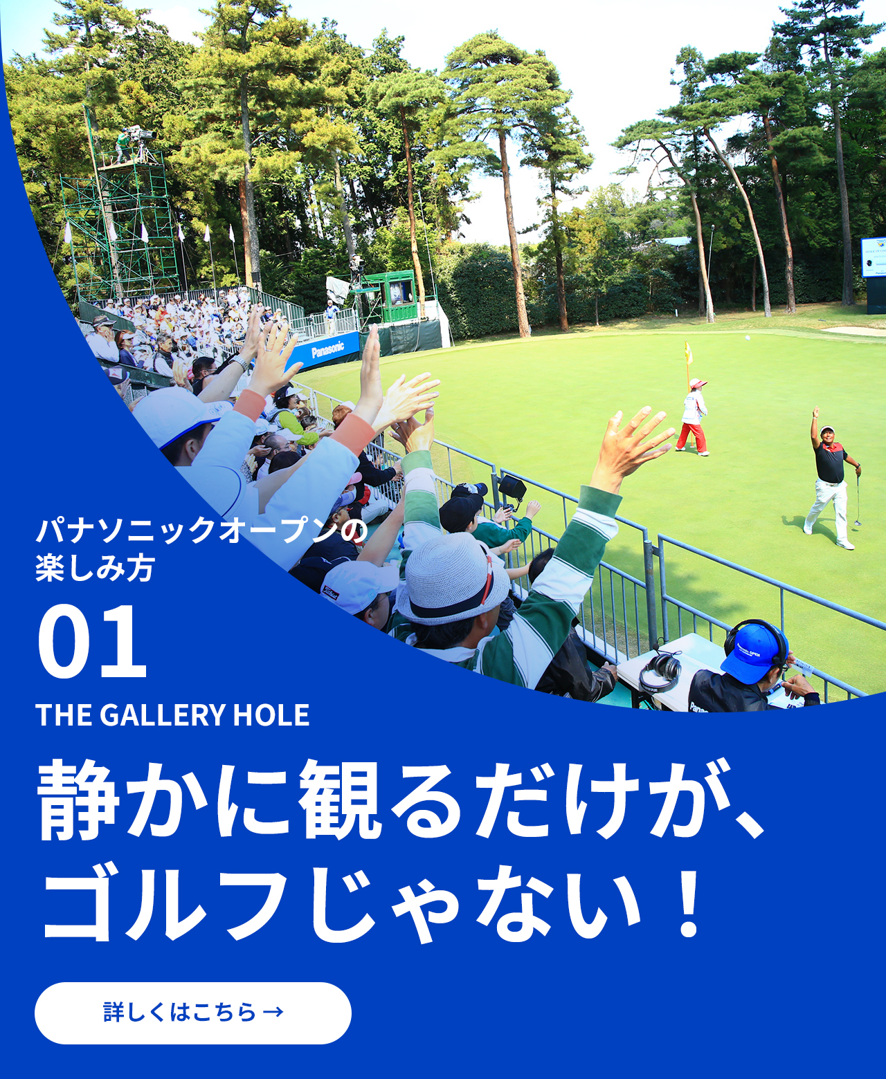 パナソニックオープンの楽しみ方 01 THE GALLERY HOLE 静かに観るだけが、ゴルフじゃない！