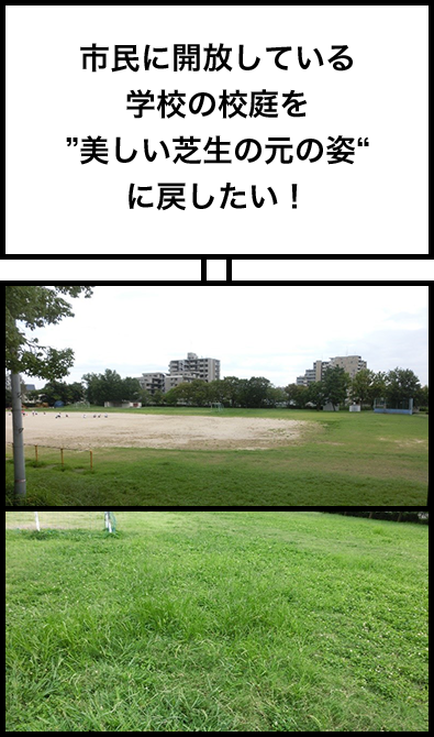 市民に開放している学校の校庭を"美しい芝生の元の姿"に戻したい!
