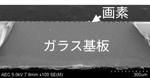 ディスプレイデバイス断面試料