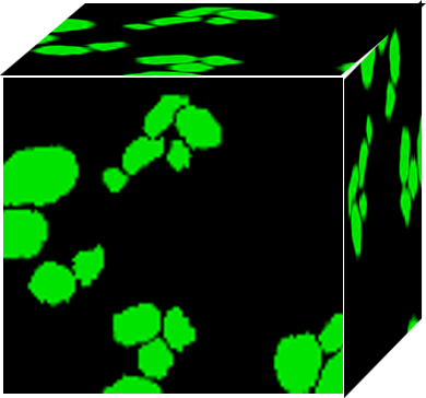 成分A
