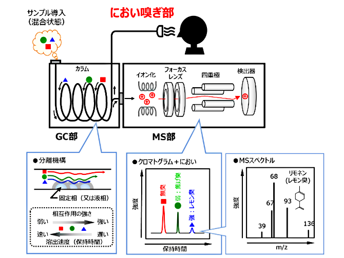 GC/MSの装置構成と原理