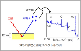 XPSによる電極表面分析