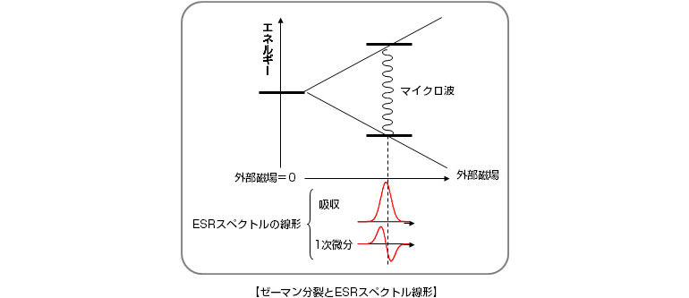 ゼーマン分裂とESRスペクト線形図