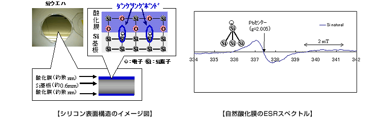 シリコン表面構造のイメージ図、自然酸化膜のＥＳＲスペクトル図