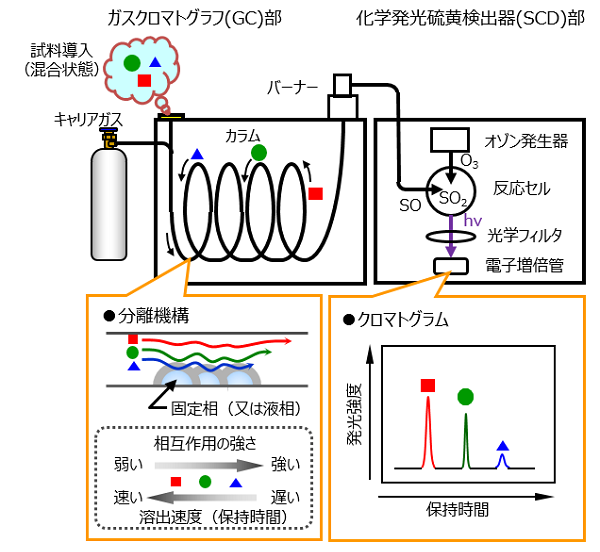 GC/SCDの装置構成と原理