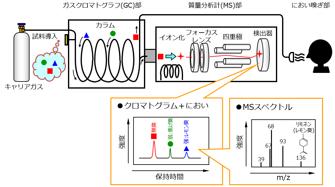 におい嗅ぎGC/MSの装置構成と原理