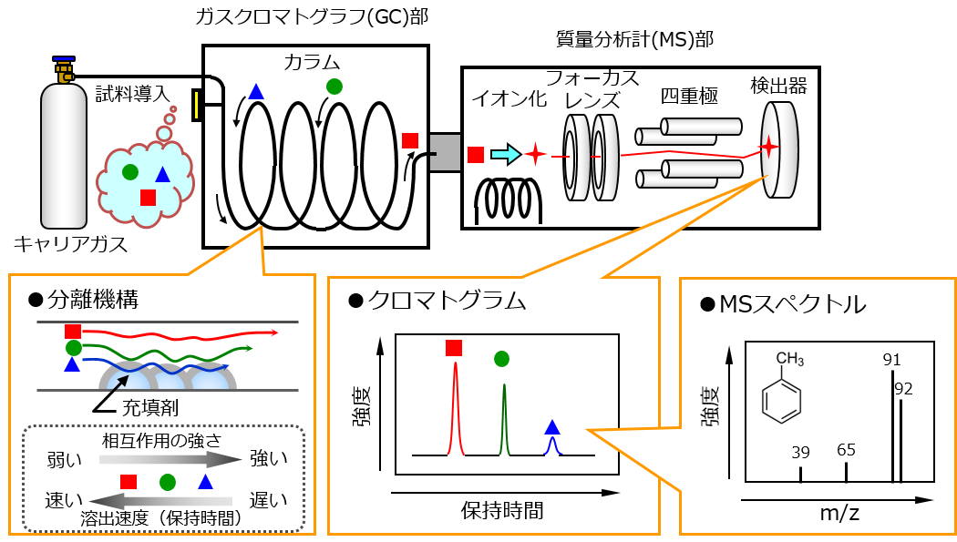 GC/MSの装置構成と原理