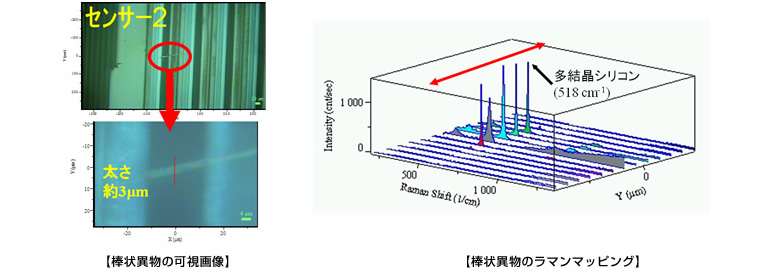棒状異物の可視画像と棒状異物のラマンマッピング