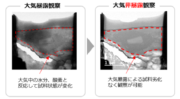 大気暴露観察（大気中の水分、酵素反応して試料状態が変化）→大気非暴露観察（大気暴露により試料劣化なく観察が可能）