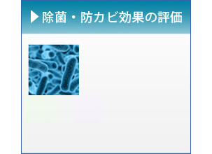 除菌・防カビ効果の評価