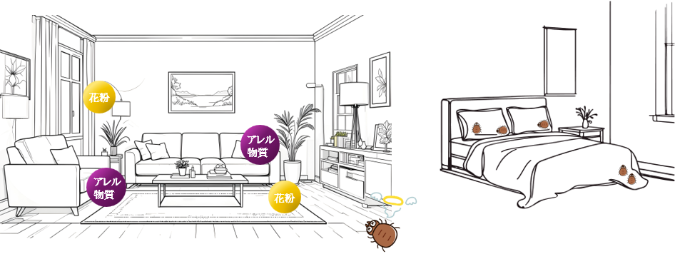 生活空間には、ソファや寝具、壁や床材など様々な箇所に花粉やダニなどのアレル物質が付着しています。